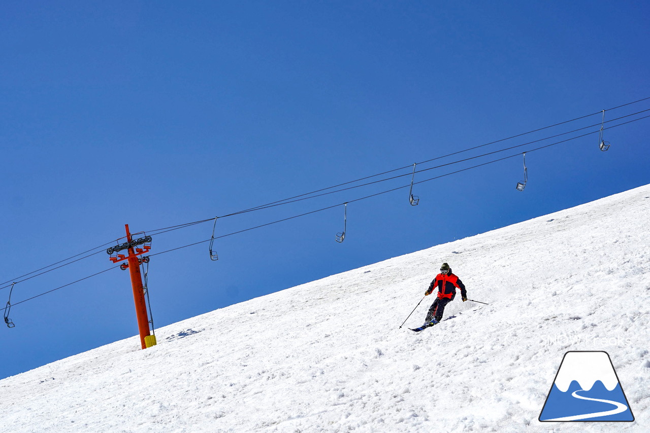 ニセコグラン・ヒラフ DYNASTAR SKI TEST RIDE DAYS Photo Session!!最高の天気に恵まれたニセコに、最高の仲間たちが集まりました☆